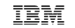 IBM logo